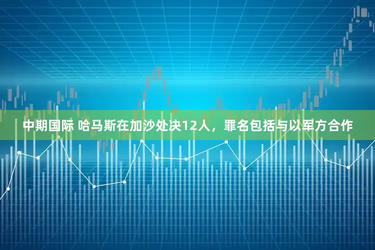 中期国际 哈马斯在加沙处决12人，罪名包括与以军方合作