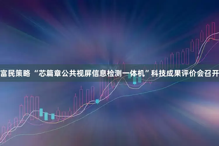富民策略 “芯篇章公共视屏信息检测一体机”科技成果评价会召开