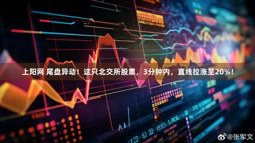 上阳网 尾盘异动！这只北交所股票，3分钟内，直线拉涨至20%！